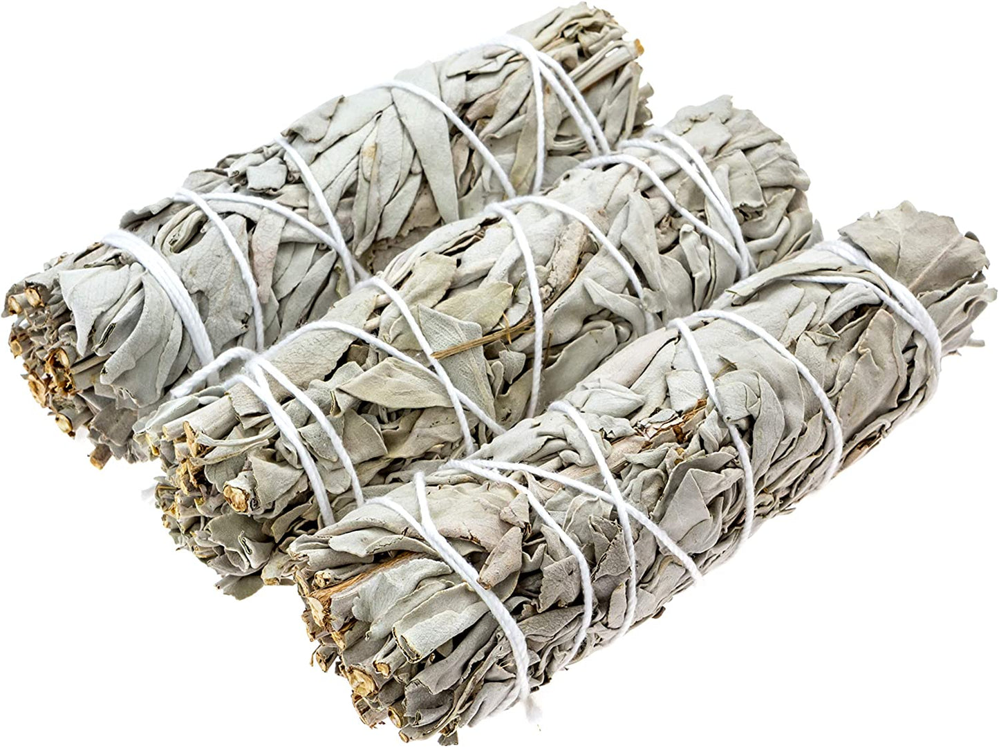 4'' Blue Sage Bundle Of 3
