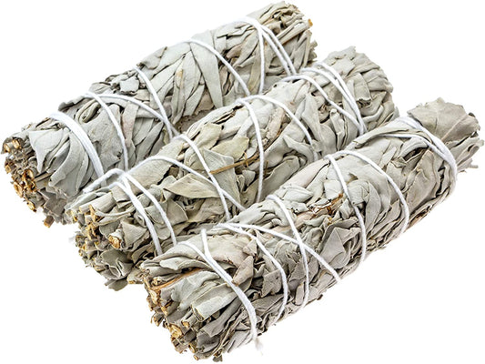 4'' Blue Sage Bundle Of 3